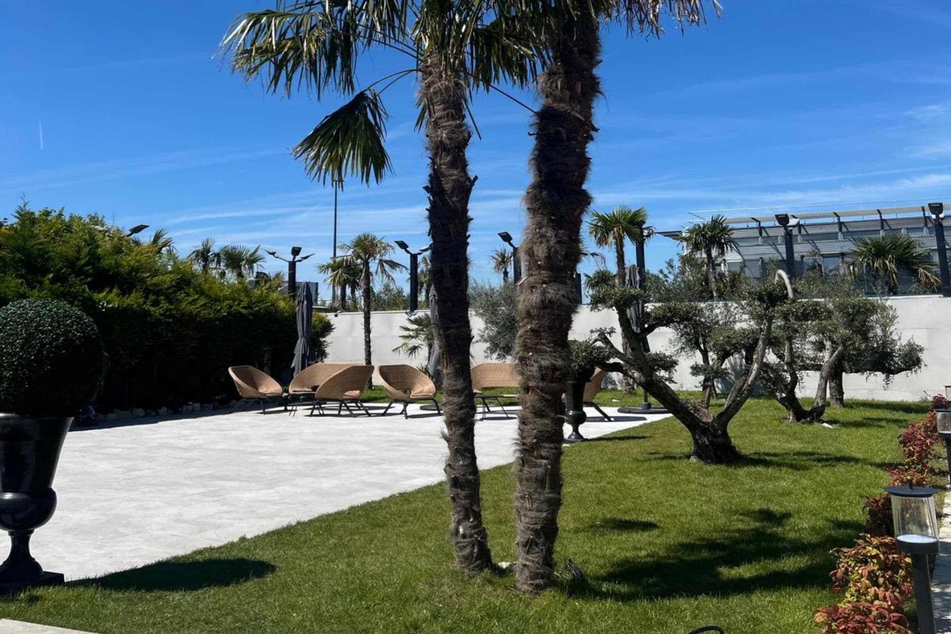 Manoir des Vignes - Photo 3